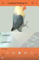 Kicau Lovebird Parblue Gacor screenshot 1