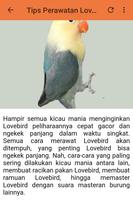 Kicau Lovebird Parblue Gacor screenshot 2