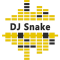 DJ Snake Lyrics
