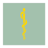 Health Now আইকন