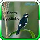 Canto Bigodino आइकन