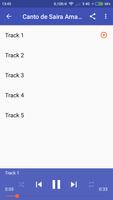 mp3 Canto de Saira Amarela ảnh chụp màn hình 1