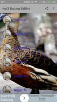 mp3 Burung Belibis স্ক্রিনশট 3