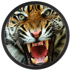 mp3 Suara Harimau آئیکن