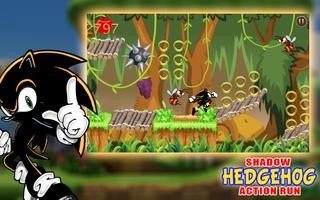 The Shadow Hedgehog Action Run screenshot 1