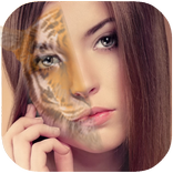 Animal face changer Face swap