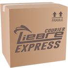 Liebre courier express icon