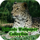 Animals Wallpaper Collection icon