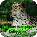 Animals Wallpaper Collection APK