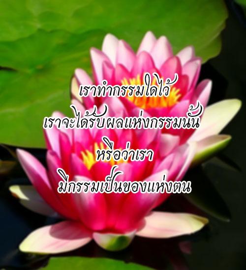 My Image 78