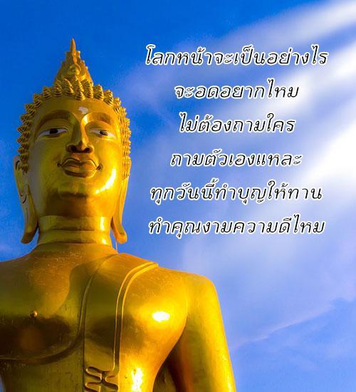 My Image 32