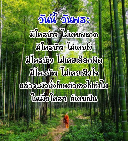 My Image 50