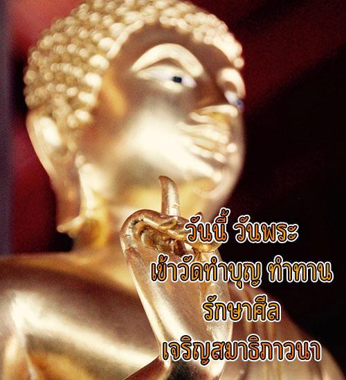 My Image 24