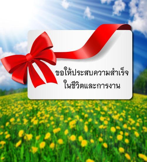 My Image 41