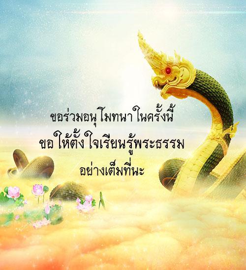 My Image 26