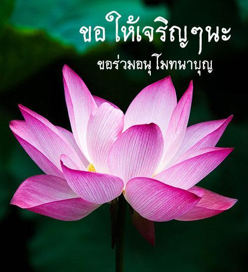 My Image 73