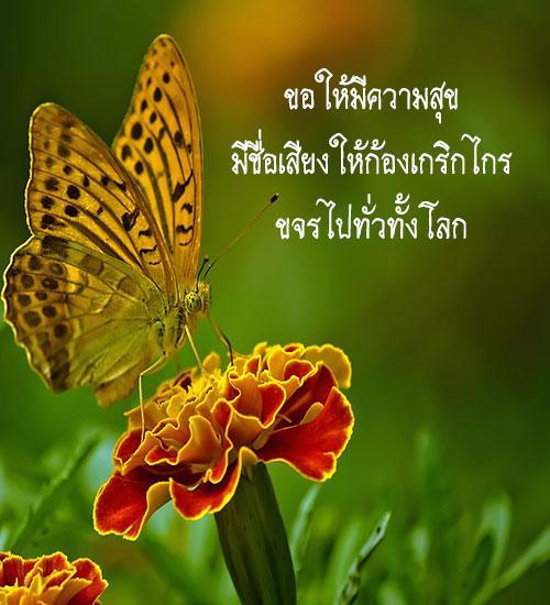My Image 51