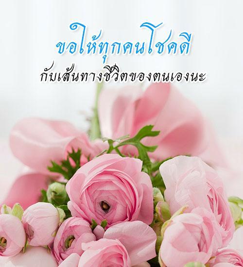 My Image 22
