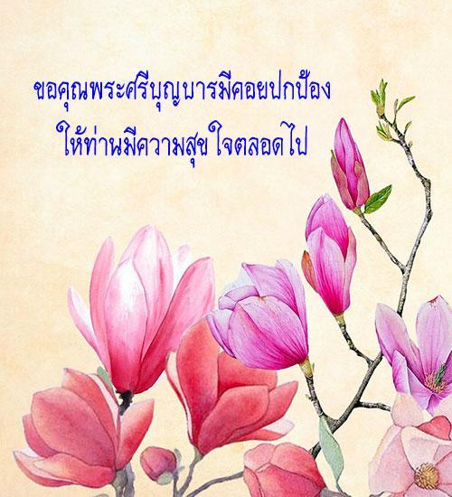My Image 47