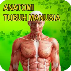 Anatomi Lengkap