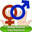 Kesehatan Organ Reproduksi APK