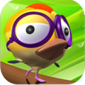 Kepo Bird