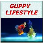 Guppy Lifestyle icône
