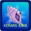 Kerang Ajaib