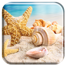 coquillages live wallpaper APK