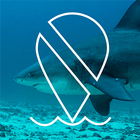 Misión Tiburón ícone