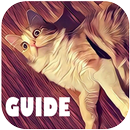 Guide Prisma Labs Photo Filter APK