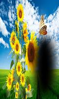 3D Batterflies Photo Frame poster