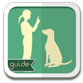 Dog Training Guide