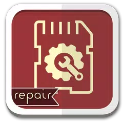 SD Card Repair Guide