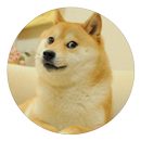 Doge Hub APK
