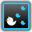 Tweet Followers