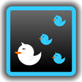 Tweet Followers