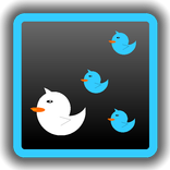 Tweet Followers