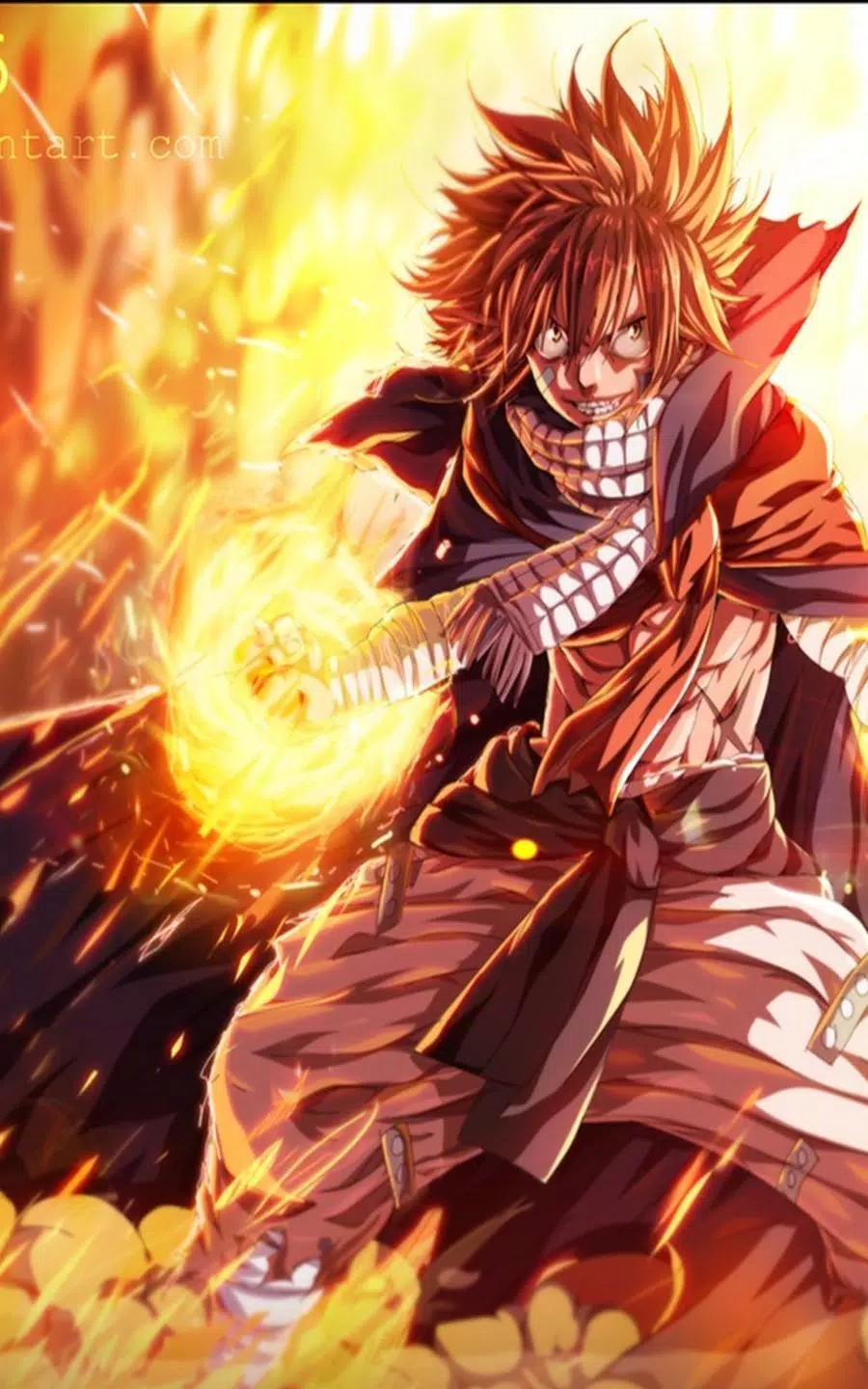 Natsu Dragneel - Accueil