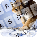 Cougar Keyboard