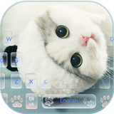 Cute Kitty Cat Live Wallpaper Theme icône