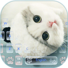Cute Kitty Cat Live Wallpaper Theme иконка