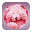 Teddy Bear Pink Keyboard