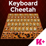 Keyboard Cheetah ícone