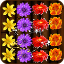 Blossom Crush APK