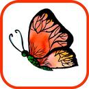 Colorful Butterfly Wallpapers APK
