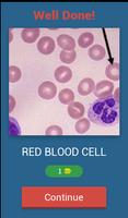 Hematology quiz App screenshot 1