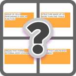 Anatomy Quiz; Skin And Muscles