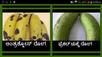 Banana screenshot 2