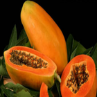 Papaya - IPM icon